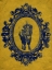 Picture of FRAMED BISON IN YELLOW