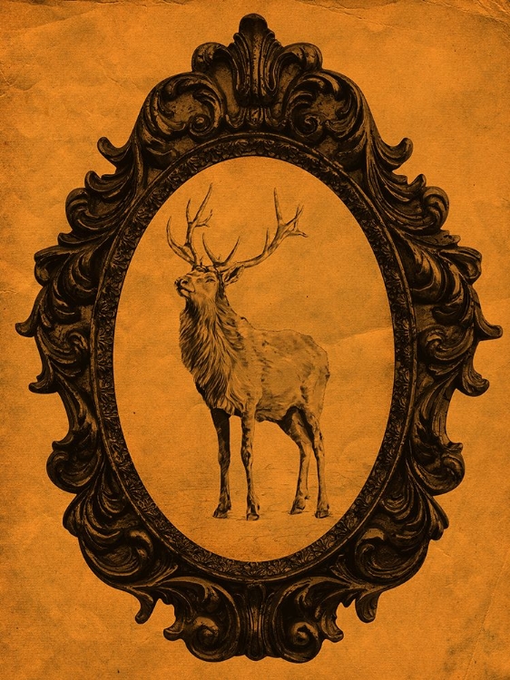 Picture of FRAMED ELK IN TANGERINE