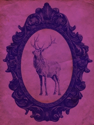 Picture of FRAMED ELK IN VIOLET