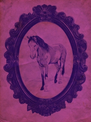 Picture of FRAMED PAINT HORSE IN VIOLET