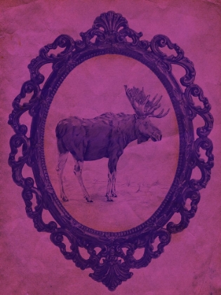 Picture of FRAMED MOOSE IN VIOLET