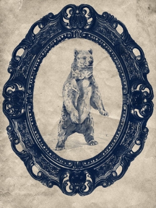 Picture of FRAMED GRIZZLY BEAR IN NAVY