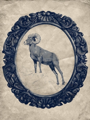 Picture of FRAMED BIGHORN SHEEP IN NAVY