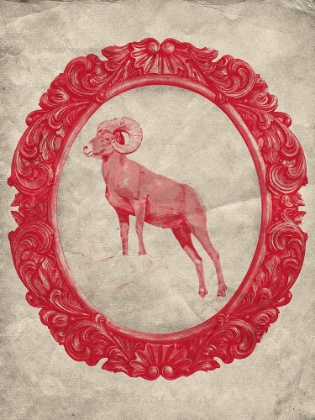 Picture of FRAMED BIGHORN SHEEP IN CRIMSON