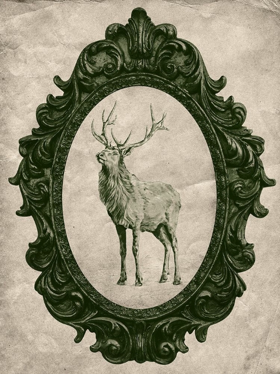 Picture of FRAMED ELK IN EVERGREEN