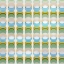 Picture of TRANSITIONS P