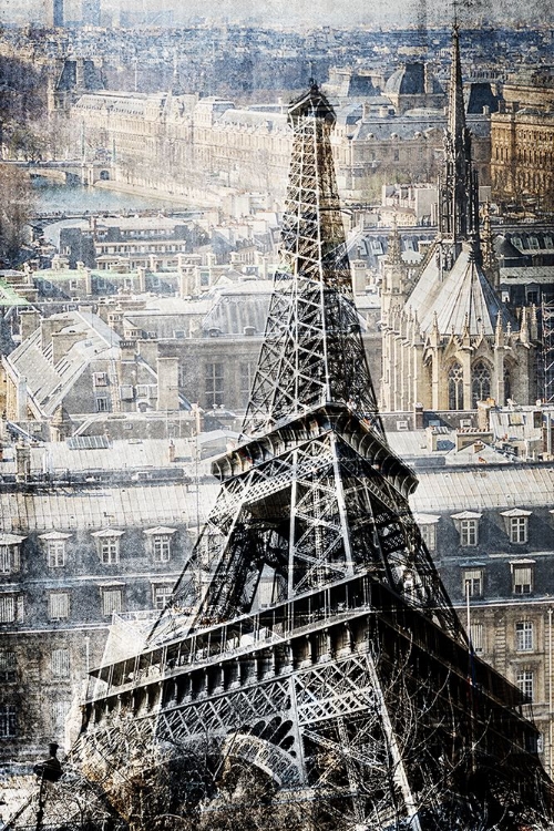 Picture of PARIS