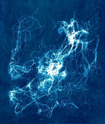 Picture of CYANOTYPE STRING 1
