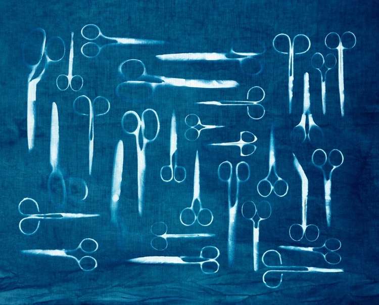 Picture of CYANOTYPE SCISSORS