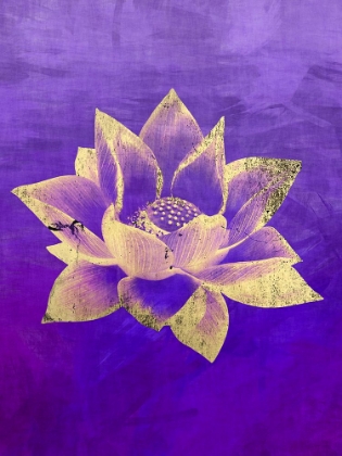 Picture of LOTUS