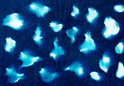 Picture of CYANOTYPE H