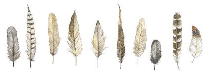 Picture of FEATHERS IN SEPIA