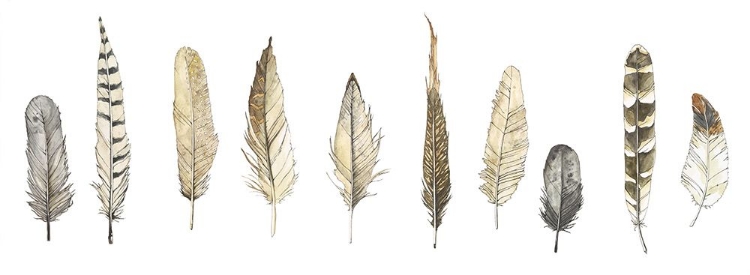 Picture of FEATHERS IN SEPIA