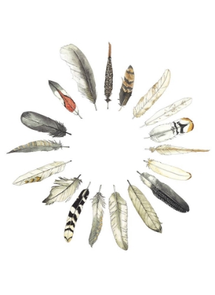 Picture of FEATHER CIRCLE