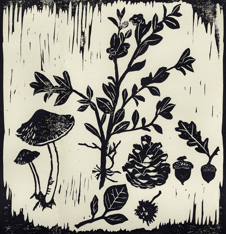 Picture of NATURAL LINOCUT