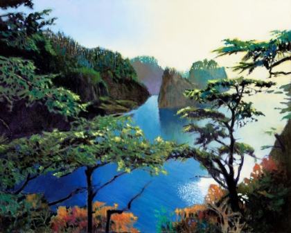 Picture of CAPE FLATTERY