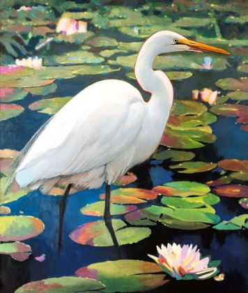 Picture of GREAT EGRET