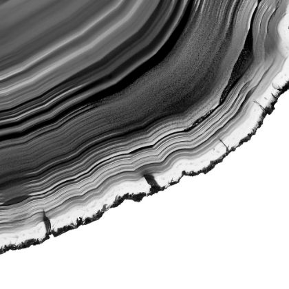 Picture of GREY AGATE F