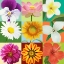 Picture of FLORALS 9 UP