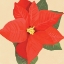 Picture of FLOWER ART 12