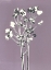 Picture of VIOLET BLOOM 1