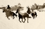 Picture of OUT WEST 2