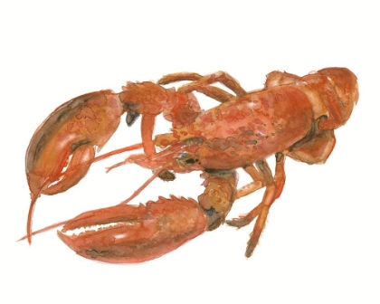 Picture of LOBSTER 1