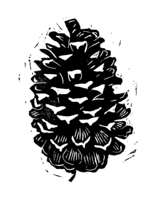 Picture of PINEY CONE