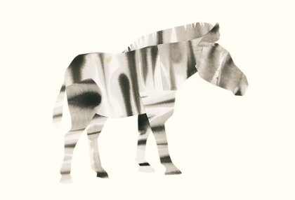 Picture of ZEBRA