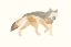 Picture of GREY WOLF