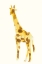 Picture of GIRAFFE