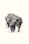 Picture of INTO THE WILD A