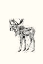 Picture of INTO THE WILD C.