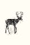 Picture of INTO THE WILD D