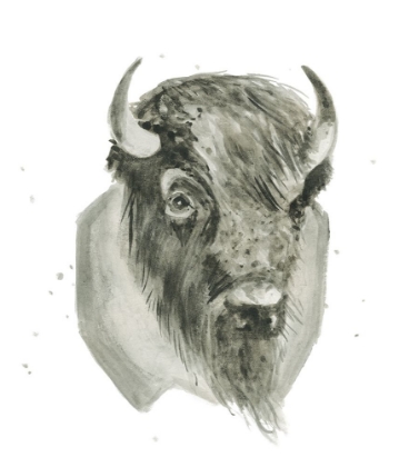 Picture of BISON BUST