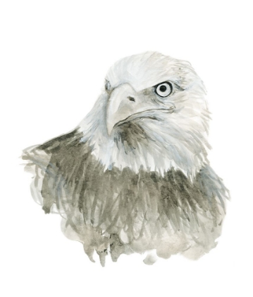Picture of EAGLE BUST