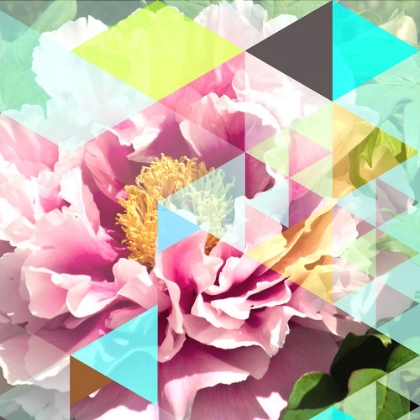 Picture of CRYSTALIZED PEONIES