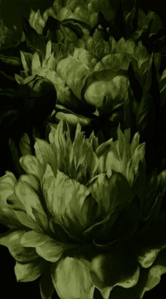 Picture of JUNE BLOOMS - GREEN