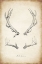 Picture of ANTLER SPECIMENS