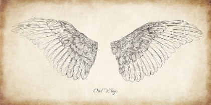 Picture of OWL WINGS