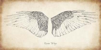 Picture of RAVEN WINGS