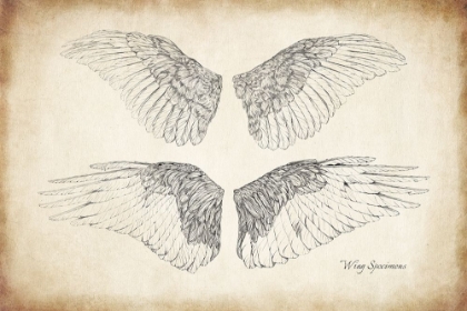 Picture of WING SPECIMENS