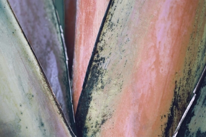Picture of CONTEMPORARY PALM LEAVES 1