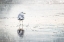 Picture of THE STANDING SEAGULL