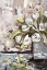 Picture of DROOPING WHITE TULIPS