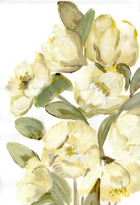 Picture of DROOPING YELLOW TULIPS