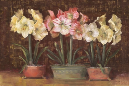Picture of AMARYLLIS ON BROWN