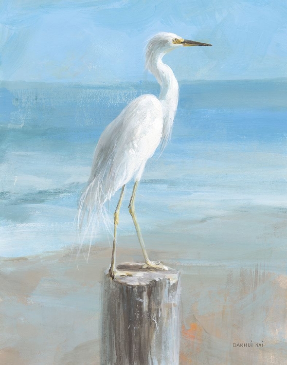 Picture of SEASIDE EGRET