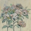 Picture of ROMANTIC HYDRANGEAS