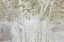 Picture of GOLDEN FOREST GRAY
